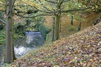 Cjp_2008_11_04_151552 (1).jpg